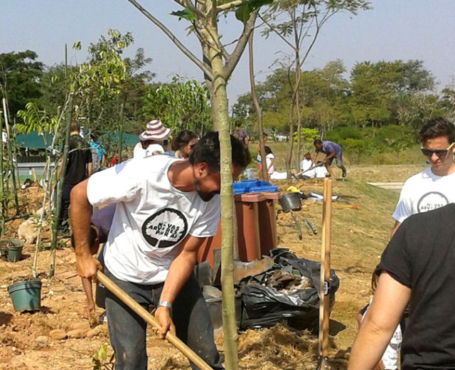 Foto do grupo de pessoas que participou do projeto de Plantio Parque Vila Lobos São Paulo