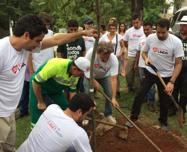 Foto da plantação de árvores do projeto plantio com o prefeito João Dória