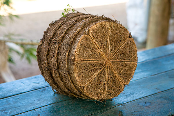 Foto do processo Root Maker